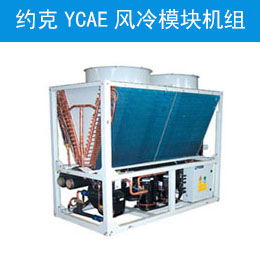 ԼYCAE