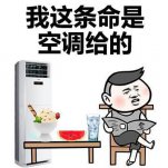Լյͨյ˽⼸